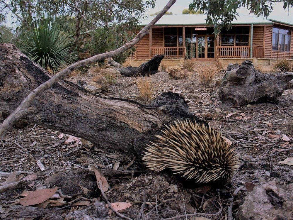 Kangaroo Island Wilderness Retreat Flinders Chase Exteriér fotografie