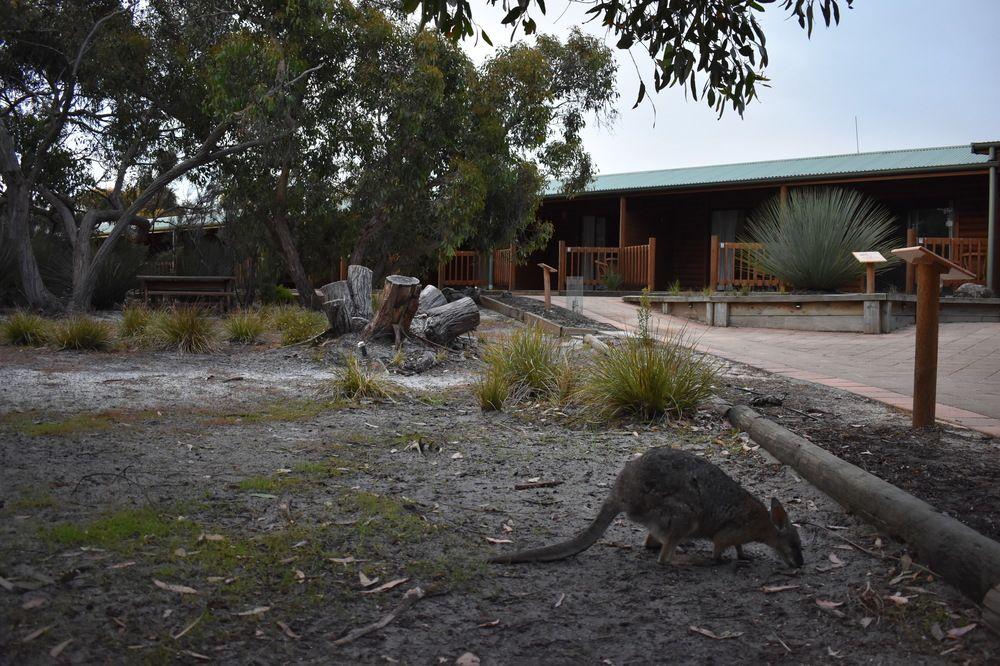 Kangaroo Island Wilderness Retreat Flinders Chase Exteriér fotografie