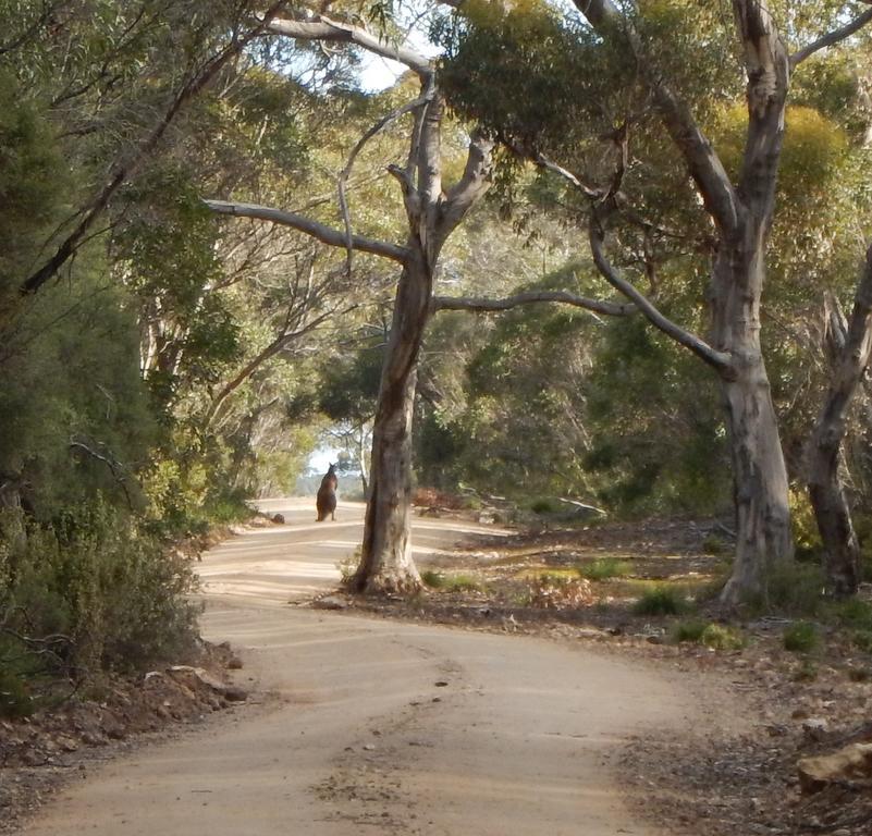Kangaroo Island Wilderness Retreat Flinders Chase Exteriér fotografie
