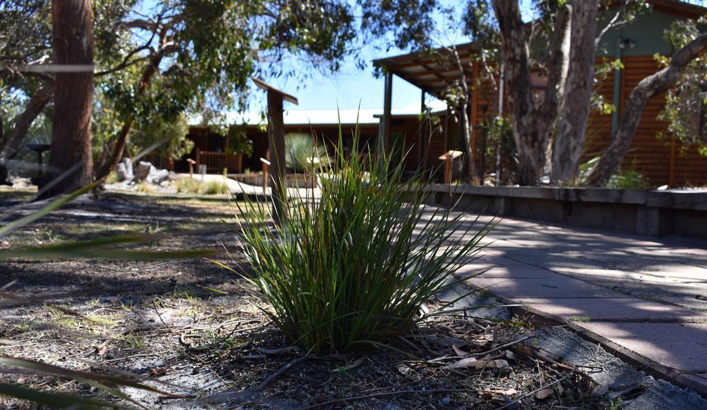 Kangaroo Island Wilderness Retreat Flinders Chase Exteriér fotografie