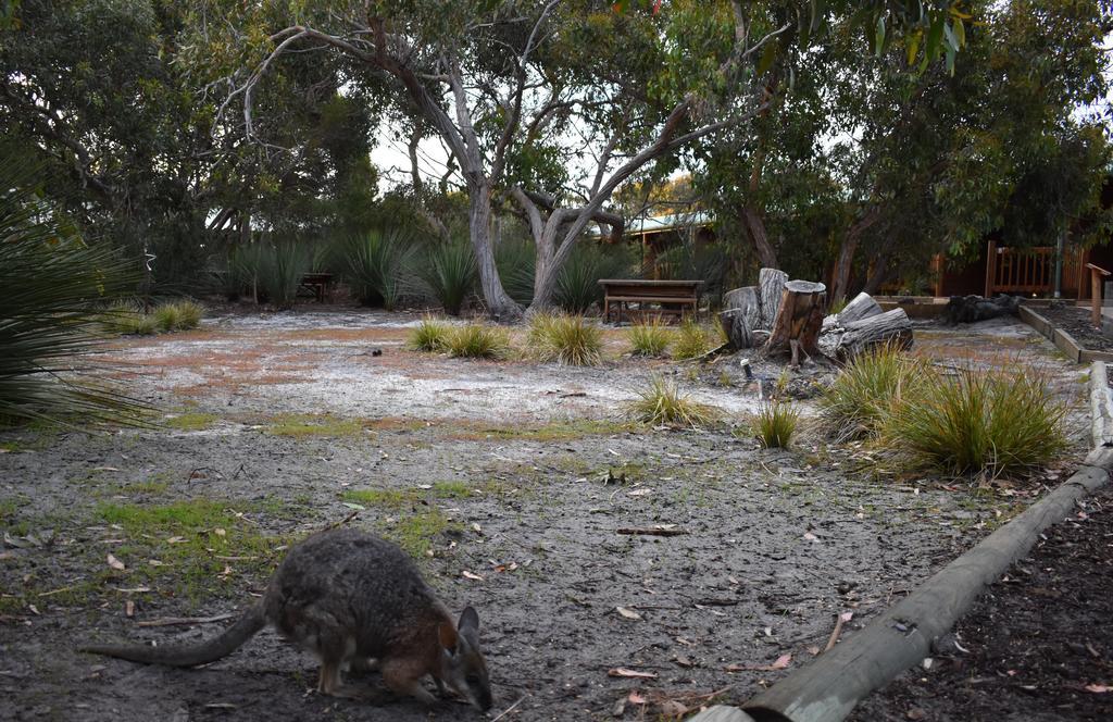 Kangaroo Island Wilderness Retreat Flinders Chase Exteriér fotografie