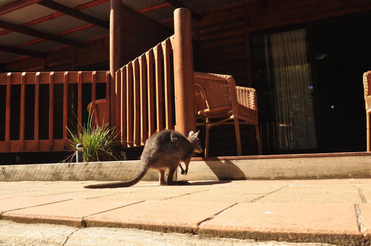 Kangaroo Island Wilderness Retreat Flinders Chase Exteriér fotografie