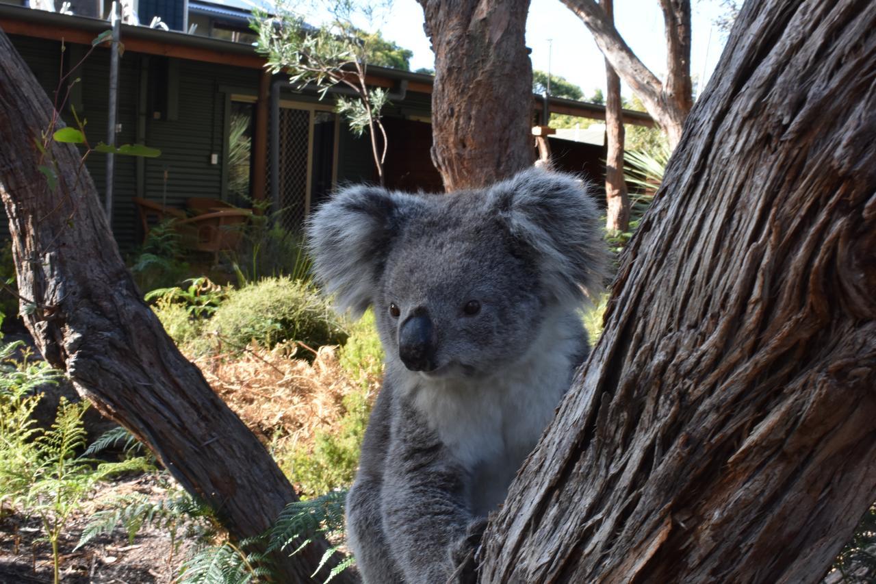 Kangaroo Island Wilderness Retreat Flinders Chase Exteriér fotografie