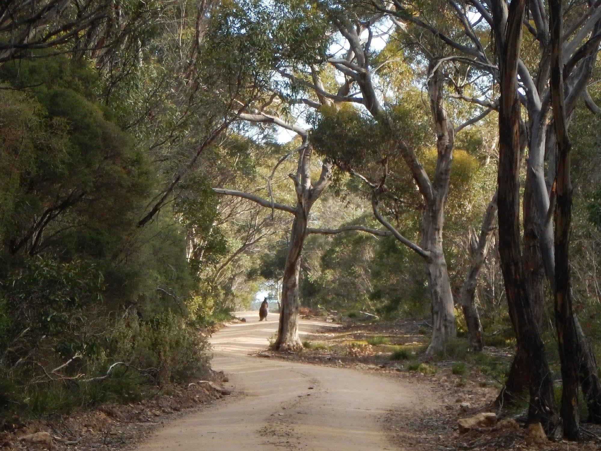 Kangaroo Island Wilderness Retreat Flinders Chase Exteriér fotografie